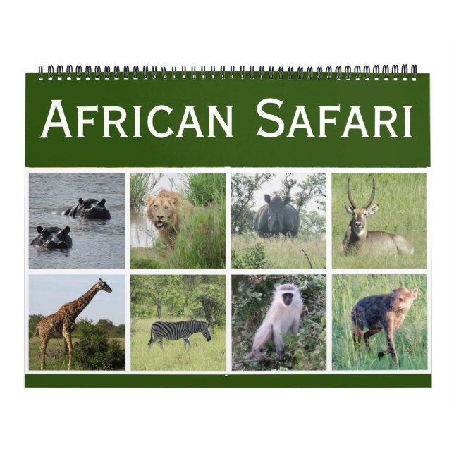 afrikansk safari 2027 stor kalender (Omslag)