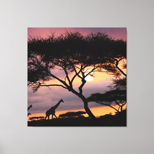 Afrikansk safari liggande vid Sunset-Kanvastrycket Canvastryck (Framsida)