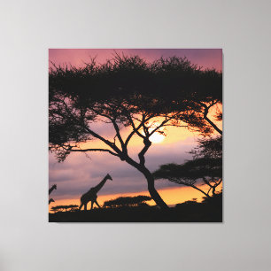 Afrikansk safari liggande vid Sunset-Kanvastrycket Canvastryck