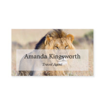 Afrikansk Safari Travel agent professionell