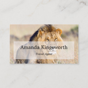 Afrikansk Safari Travel agent professionell Visitkort