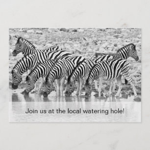 Afrikansk Safari Zebra Funny Birthday-inbjudan Inbjudningar