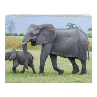 Afrikansk Safarikalender Kalender