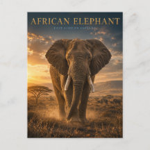 Afrikansk Savannelevande Elefant DJUR