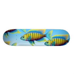 Afrikansk Skateboard för påfågelCichlidfisk