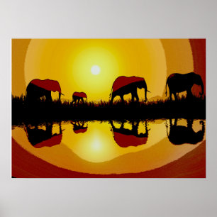 Afrikansk solnedgång Elefanter Poster