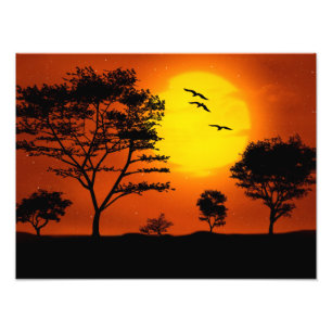 Afrikansk solnedgång fototryck