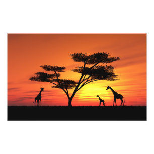 Afrikansk solnedgång fototryck