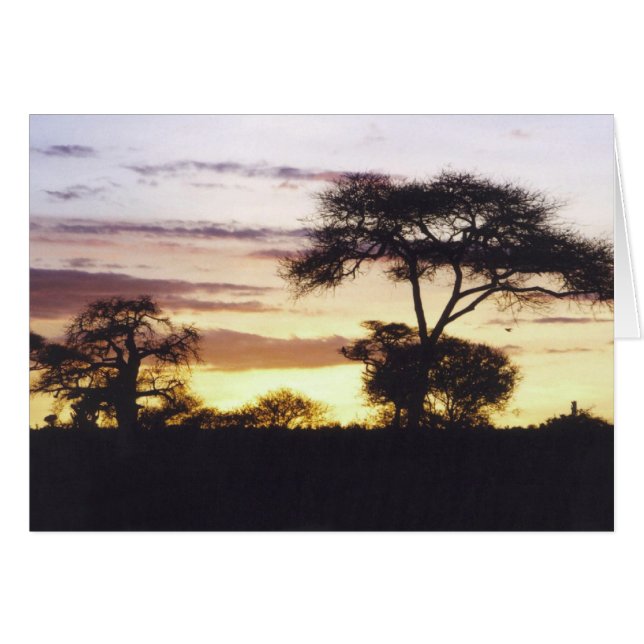Afrikansk solnedgång hälsningskort (Framsidan Horizontal)