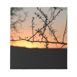 Afrikansk solnedgång med torny acacia träd silhuet anteckningsblock