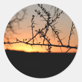 Afrikansk solnedgång med torny acacia träd silhuet runt klistermärke