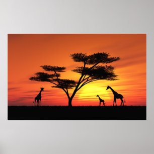 Afrikansk solnedgång poster