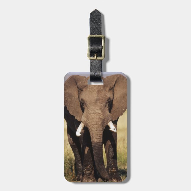 Afrikansk stäppefant bagagebricka (Vertikal Framsida)
