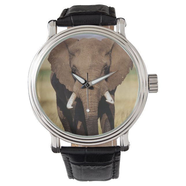 Afrikansk stäppelefant armbandsur (Framsida)