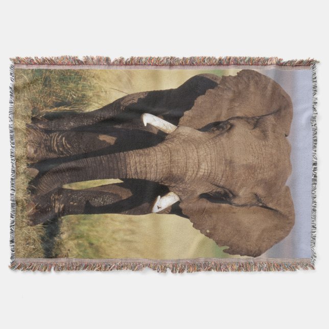 Afrikansk stäppelefant mysfilt (Framsidan)
