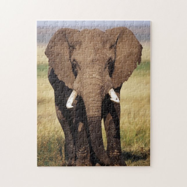 Afrikansk stäppelefant pussel (Vertikal)