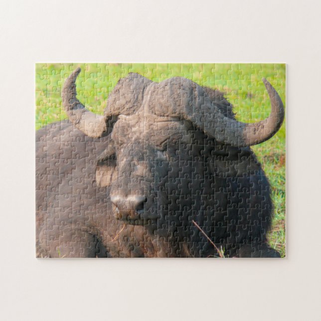 Afrikansk vattenbuffel. pussel (Horisontell)