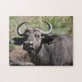 Afrikansk vattenbuffel pussel