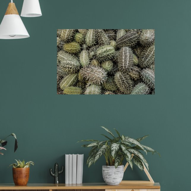 Afrikansk vild gurkväxter poster (Vardagsrum 1)