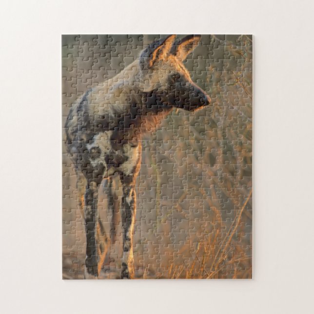 Afrikansk vildhund (Lycaon Pictus), Kruger Pussel (Vertikal)