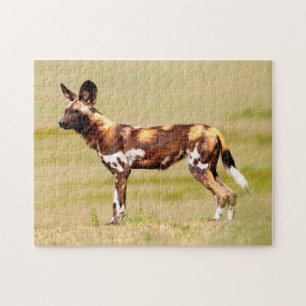 Afrikansk vildhund (Lycaon Pictus) stående Pussel