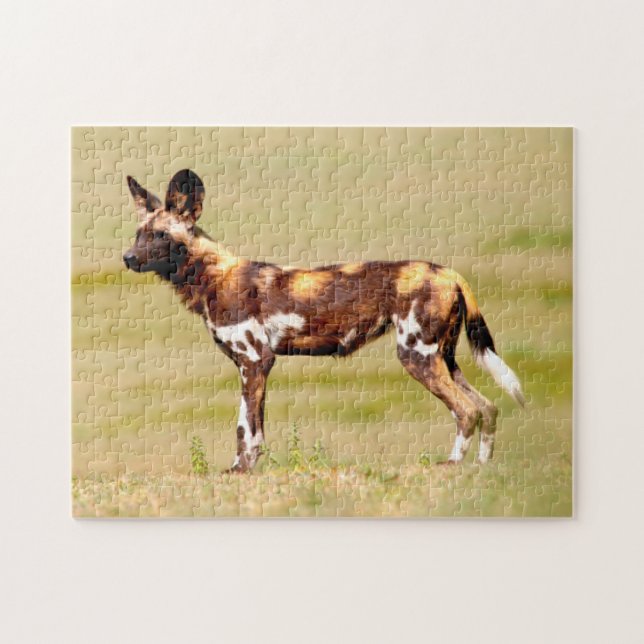 Afrikansk vildhund (Lycaon Pictus) stående Pussel (Horisontell)