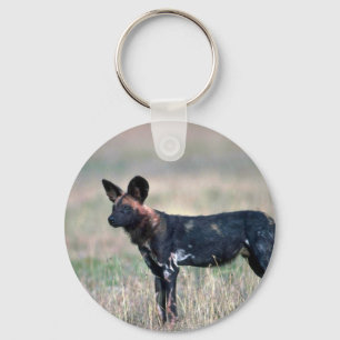 Afrikansk vildhund nyckelring
