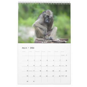 Afrikansk vildlevande kalender 2026