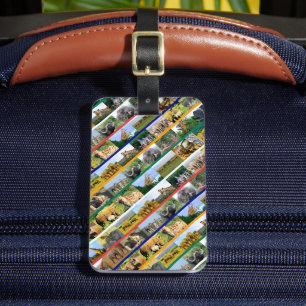 Afrikansk vildlevande stripe Multi Färg Collage Bagagebricka