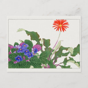 Afrikansk viol, Gerbera av Tanigami Konan Vykort