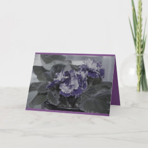Afrikansk Violet-födelsedag Kort