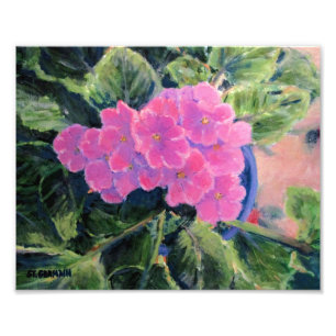 Afrikansk Violet Fototryck