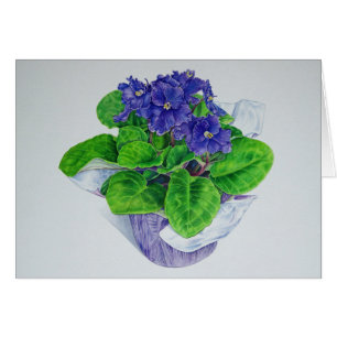 Afrikansk Violet Hälsningskort