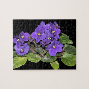 Afrikansk violet pussel