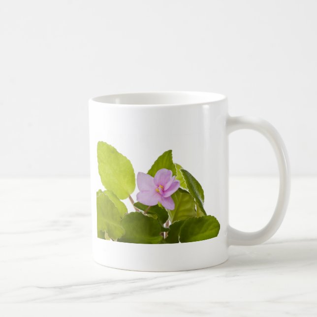 afrikansk violet - saintpauliaionantha kaffemugg (Höger)