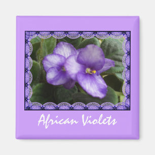Afrikansk Violetsmagnet Magnet