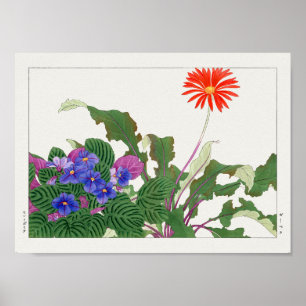 Afrikansk violett, Gerbera av Tanigami Konan Poster