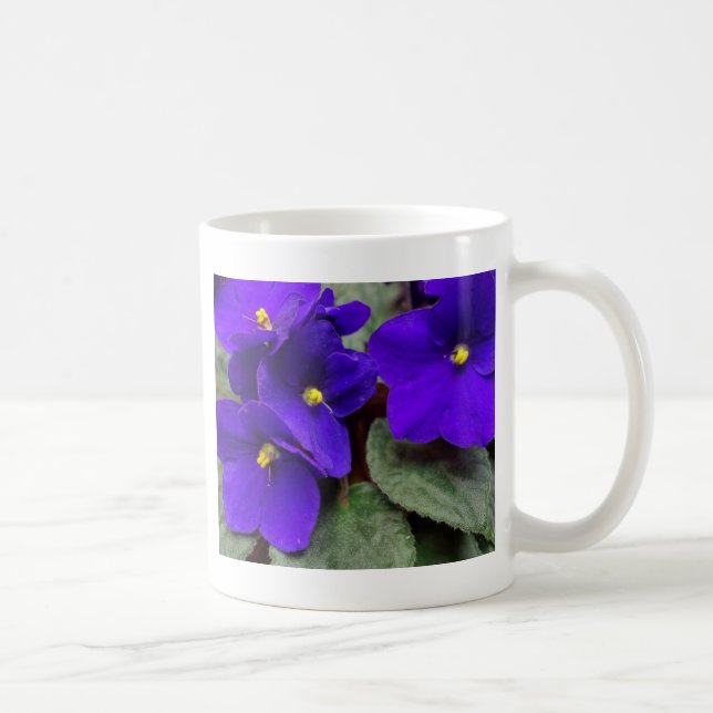 Afrikansk violett mugg (Höger)