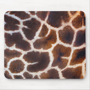 Afrikansk Wildlife Giraffe Päls Photo Design Musmatta