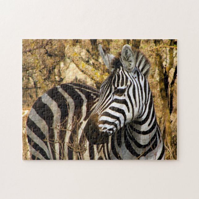 Afrikansk zebra pussel (Horisontell)