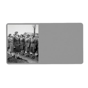 Afrikanska amerikanska Office Inspection Troops Fraktsedel