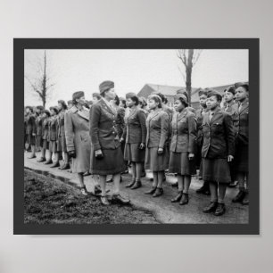 Afrikanska amerikanska Office Inspection Troops Poster