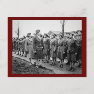 Afrikanska amerikanska Office Inspection Troops Vykort