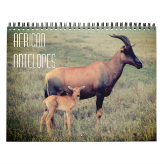 afrikanska antiloper 2027 kalender