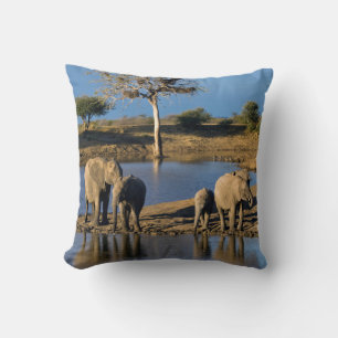 Afrikanska buskelefanten (Loxodonta Africana) Kudde