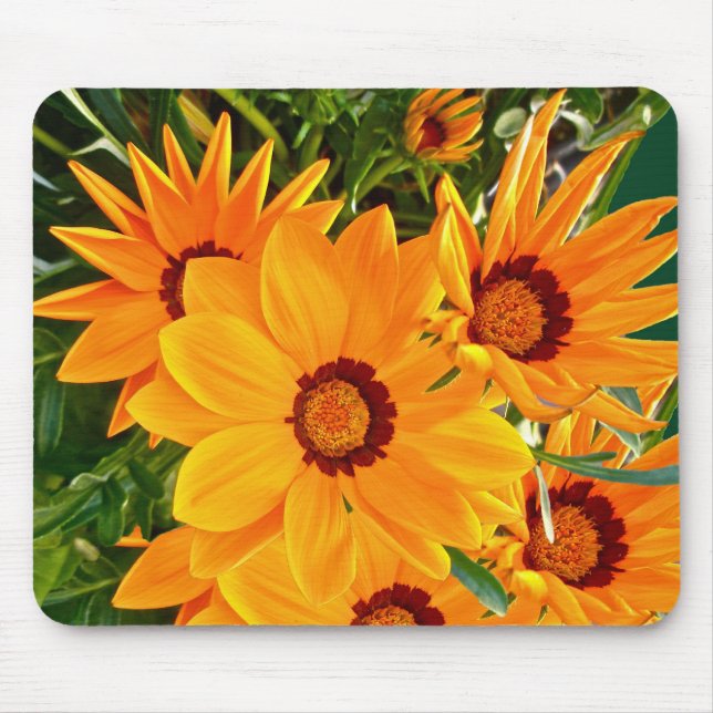 Afrikanska Daisy Mousepad Musmatta (Framsidan)