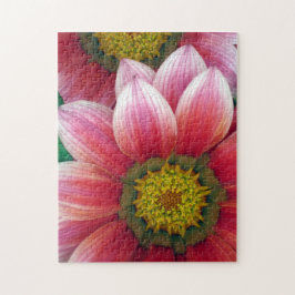 Afrikanska Daisy Pussel