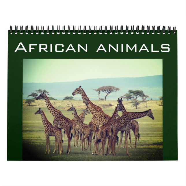 afrikanska djur 2027 kalender (Omslag)