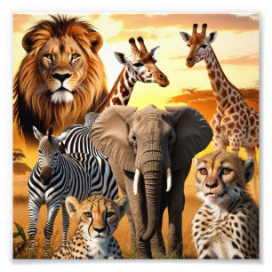 Afrikanska djur fototryck