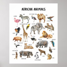 Afrikanska djur pedagogisk klassrumsaffisch
